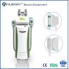 Buy cheap Newest Cryolipolysis Slimming Machine CE Approval Laser from wholesalers