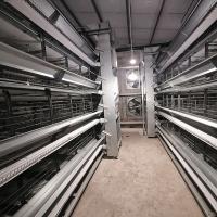 Buy cheap 380V Broiler Automatic Feeder , 500KGS Hot Dip Galvanized Chicken Cage Equipment product