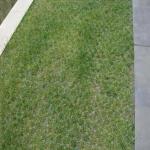 38mm 48mm 68mm Grass Paver Grid for Ground Water Tank Drainage Cover Concrete