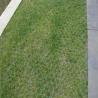 Buy cheap 38mm 48mm 70mm Grass Paver Grids for Driveway and Parking Lot Construction Solutions from wholesalers