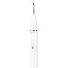 Buy cheap 25cm Electric Ultrasonic Tooth Cleaner USB Charging 5V With Cleaning Head from wholesalers