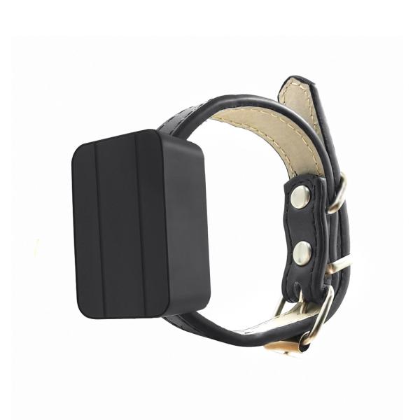Buy cheap Yuntrack CJ230 4G GPS Pet Tracker Anti Lost Tracking Device Pet Cat GPS Tracker from wholesalers