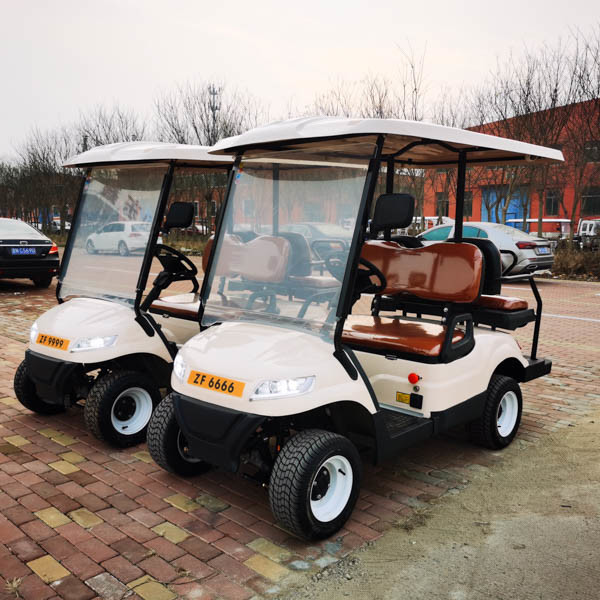 Lead Acid Cell Customized Electric 4 Wheel 6 Passenger New Energy Golf Cart