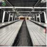 Buy cheap 30m Herbs Hydroponic Blackout Light Deprivation Greenhouse from wholesalers