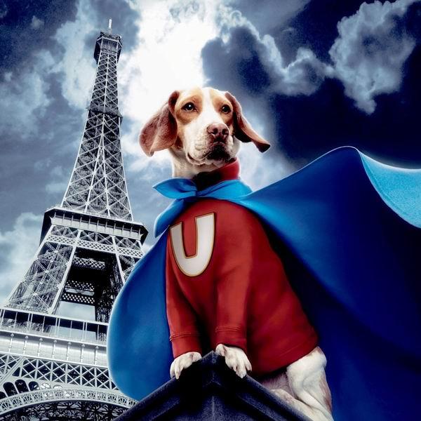 Buy cheap high bright el poster/ glowing movie poster/ custom poster from wholesalers