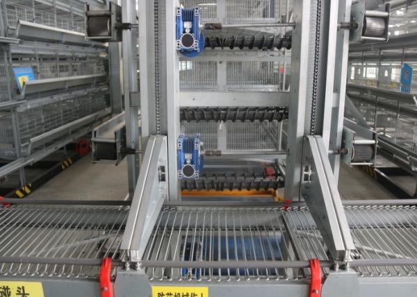 Buy cheap Eco - Friendly Safe Chicken Farm Poultry Equipment Customized Size from wholesalers