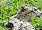 304 316 Ss Rope Mesh Tiger Cage Black Oxide For Zoo Enclosure