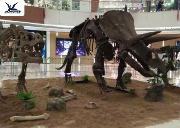 Buy cheap Amusement Park Facility Life Size Dinosaur Skeleton Replica Artificial Replica Model from wholesalers