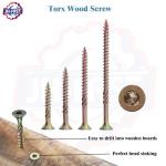 Metric Stainless Coated Star Deck and Wood Screws Torx M8 M4x12 50x50 3x40 Screw