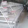 Buy cheap Custom Commercial Meat Chicken Cages, Durable Chick Breeding Cage from wholesalers