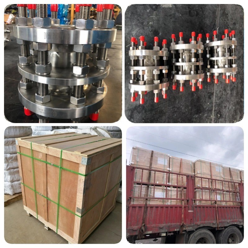Pipe Fitting Double Flange Flexible Coupling Carbon Steel Dismantling Joint 304 316 Stainless Steel Double Flange Disassembly Joint