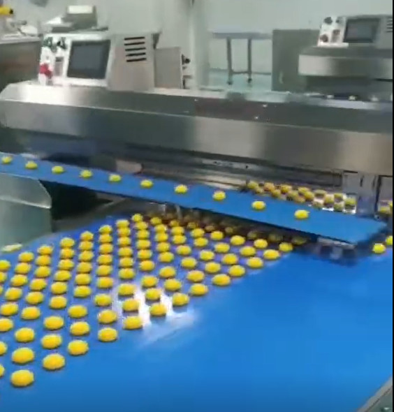 304 Stainless Steel Industrial Full Set Egg Yolk Pie Making Machine With Oven