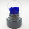 Buy cheap Long Lasting Preserved Roses In Bluetooth Music Glass Dome For Birthday/Anniversary/Valentinesday Gift from wholesalers