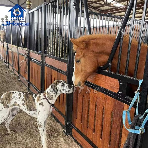 Buy cheap Outdoor Heavy Duty Horse Stable Panels Customized Pine Timber Swing Front from wholesalers