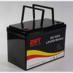 Golf Car Electric Lifepo4 Battery 36V 42AH For Power Supply