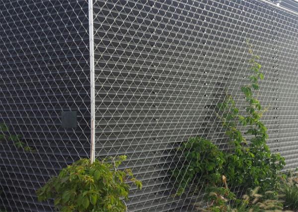 Buy cheap Outdoor aisi304L SS Wire Rope Mesh Steel Mesh For Climbing Plants 2.0m High from wholesalers