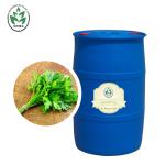 100 Purity Massage Essential OIls Celery Seed Essential Oil Anti Aging