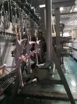 Broiler Layer Automatic Slaughtering Machine Farms Stainless Steel Chicken