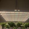 Buy cheap Smart Dimming Full Spectrum 50000h Commercial LED Grow Lights from wholesalers