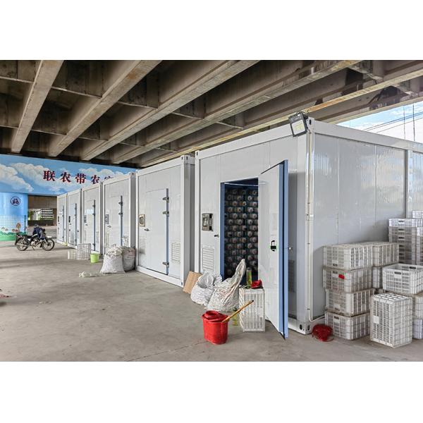 Single Span Greenhouse 20ft Agricultural Greenhouse For Mushroom Cultivation