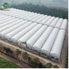 Buy cheap 33ft Pe Elasticity Elliptical Plastic Film Greenhouse from wholesalers