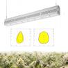 Buy cheap Full Spectrum 200W Waterproof LED Grow Lights Iron And Aluminum Body from wholesalers
