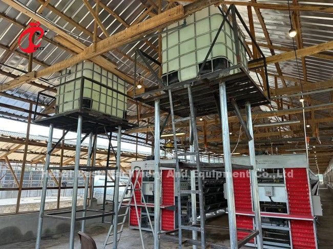 Electrical Q235 Poultry Battery Layer Chicken Cage System Steel Cage Doris