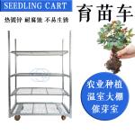Greenhouse Light Duty Rolling Dutch Metal Flower Trolleys Hot Galvanized