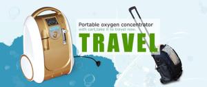 Wholesale With battery,trolley bag,trolley cart,car adaptor,portable oxygen concentrator from china suppliers