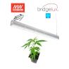 Buy cheap Linear Design 2 Foot Led Grow Light For Commercial Cannabis Growing Project from wholesalers