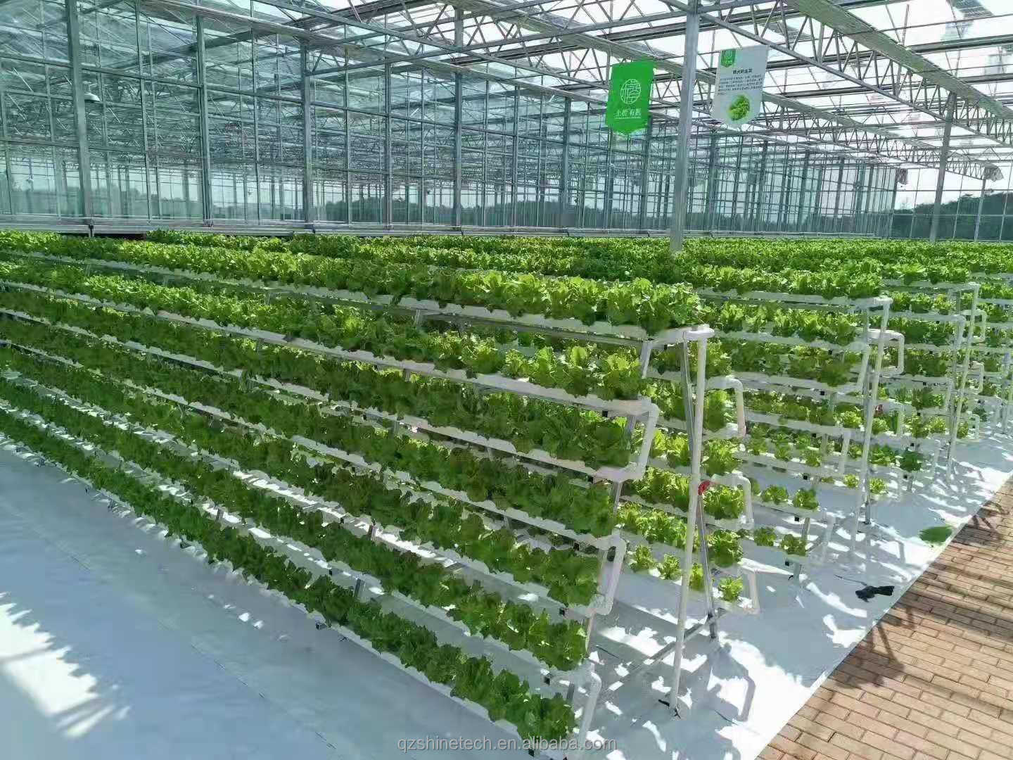 Provided Video Inspection 100*50mm PVC Planting Gully for Customized NFT Hydroponics