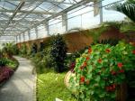 Buy cheap Side Height 2-6m PC Sheet Greenhouse / Clear Polycarbonate Greenhouse For Flower from wholesalers