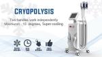 Buy cheap Highly Safety Freeze Fat Machine , Fat Removal Slim Freeze Fat Freeze Slimming from wholesalers