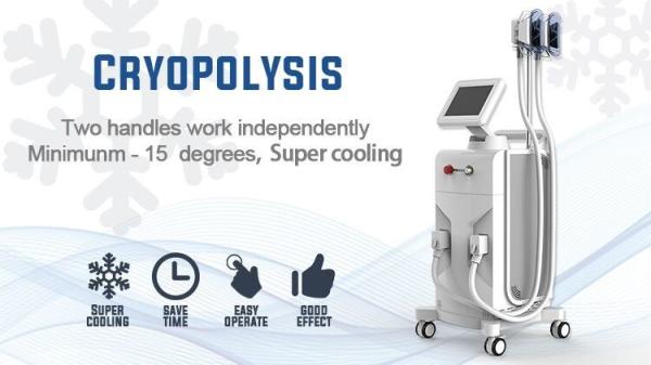 Buy cheap Highly Safety Freeze Fat Machine , Fat Removal Slim Freeze Fat Freeze Slimming Machine from wholesalers