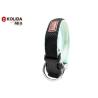 Buy cheap Four Sizes Reflective Dog Collars Stainlee Steel Material Ring For Walking / Training from wholesalers