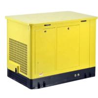 Buy cheap 20KW LPG Natural Gas Gasoline Generator with Electric Starting and 380V Rated Voltage product