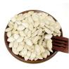 Buy cheap Amazon hot selling Wholesale Shine Skin Pumpkin Kernels from China from wholesalers