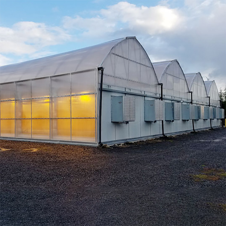 Multi-Span Venlo PC Sheet Polycarbonate Tunnel Greenhouse Blackout Light Dep