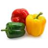 Buy cheap Frozen Mixed Red & Green Sweet Pepper Stripes from wholesalers