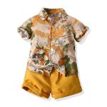 Short Sleeved Children's Outfit Sets Summer Shorts Cotton Kids Clothing
