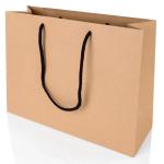 Pantone Color Matte Varnishing Paper Shopping Bag