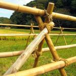 Garden Furniture Natural Bamboo Poles Stakes Straight For Garden Plant Length