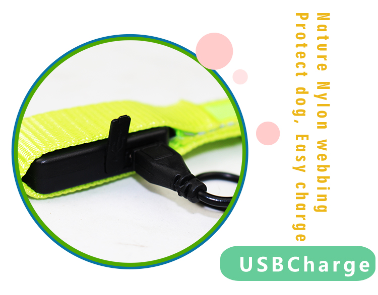 Luminous Waterproof LED Dog Collar Christmas Use Small Flashing