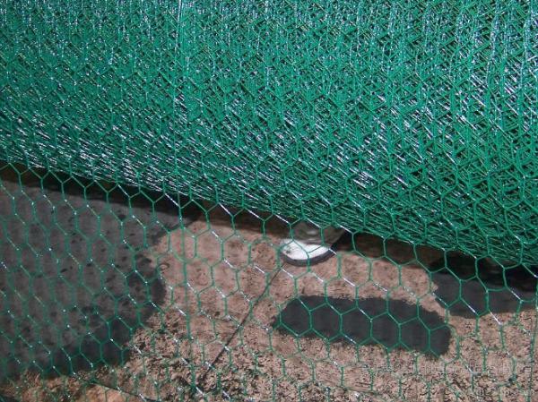 Buy cheap farm 1/2inch Pvc Coated Hexagonal Wire Mesh BWG27 from wholesalers
