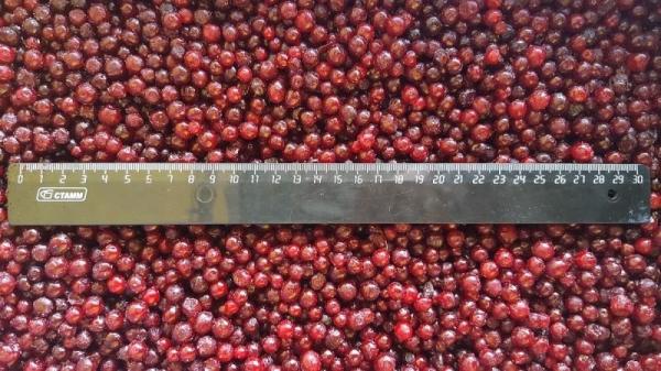 Buy cheap IQF Individually Quick Freezing Red Lingonberry For Jams & Jellies Making from wholesalers