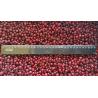 Buy cheap IQF Individually Quick Freezing Red Lingonberry For Jams & Jellies Making from wholesalers