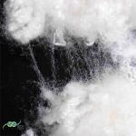 15D Flame Resistant Fiber Conjugated Staple Fiber Silicone Free PSF