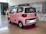 High quality new energy vehicle fast electric Chery QQ Taoxi sweet peach version