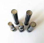 High Polished HWS Punch Die Mold