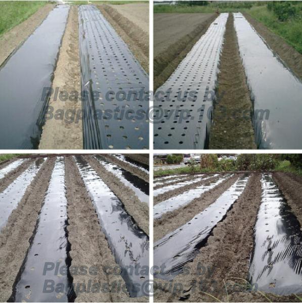 Buy cheap agricultural film, pe film, horticultural mulch film, garden perforated ground film,Mulching films, garden film, pe film from wholesalers